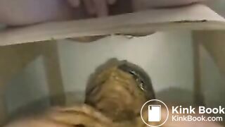 Extreme scat eating slave man