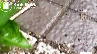 Asian Girls Caught ShitingIn Public