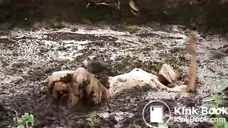 Girl rolling in pig shit pit