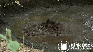 Girl rolling in pig shit pit