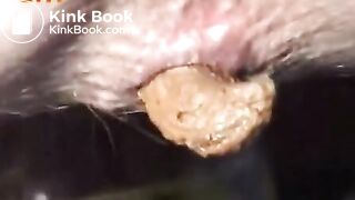 shit blonde