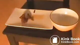 showing off ass and pooping