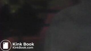 3 shitpigs relaxing 9 24 11