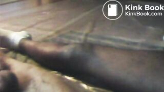 3 shitpigs relaxing 9 24 11