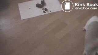 natural-scat