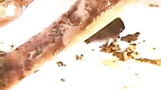 Mute the sound before seeing this girl getting the humiliation of her life