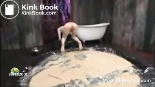 Vomit And Scat Fuck