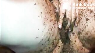 Horse Shit Play 1 American Amateur Scat MILF