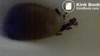 Video 22