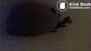 Video 22