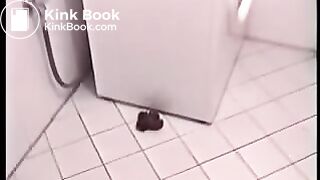schön gekackt
