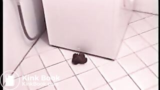 schön gekackt