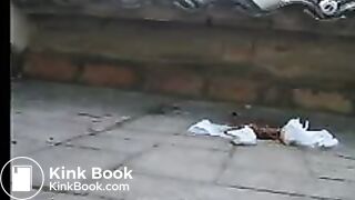 Shitting On The Roof
