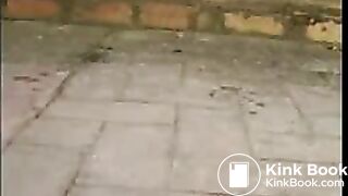 Shitting On The Roof