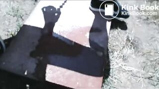 Backyard pee and poop for the neighbors to see