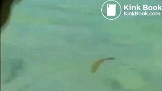 COM - Go Ahead She Isn_t Looking_ _ Exotic lesbian scat in sea