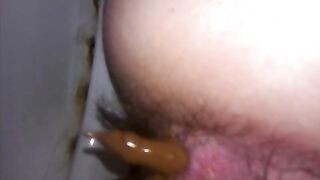 wetnastyshitintoilet