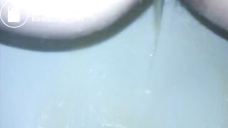 wetnastyshitintoilet