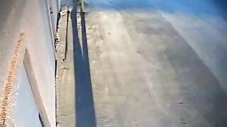 Shit on the street