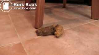 Black Girl Pooping