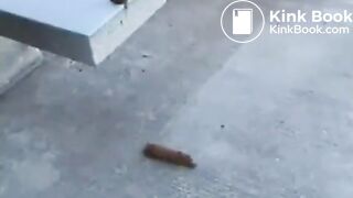 Kamryn pissing and pooping on a concrete bench - Pooping, pissing girls and scat porn videos PooPeeGirlsCommp4