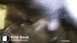 Crazy Shit Eating Compilation