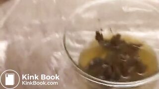 Young Chick Eating Shit