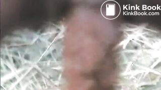 Amateur Dropping Turd In The Grass