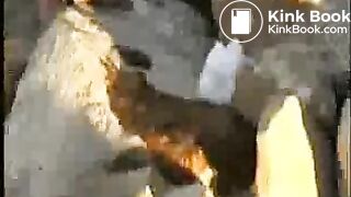 Aufnahme von googlevideocom, 2014-08-19 22_06
