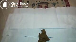 Very Black Nigger From Senegal Pooping For rich Wh