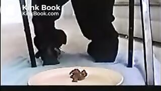 Neechee2