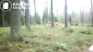 Foret_nature