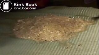 Japanese Scat 29