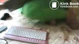 82901mp4