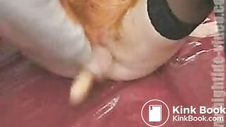 orgie de pisse et de merde