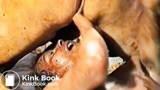 Extreme German Fetish Orgy