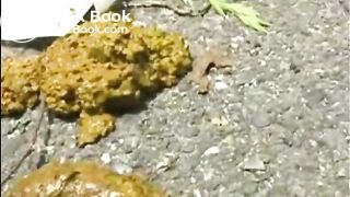 WildAssShit2