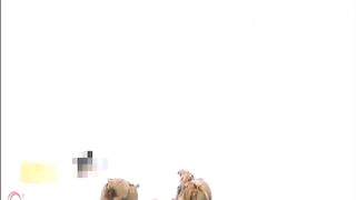 shitting angel 1