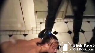 Dog Breeding German Style