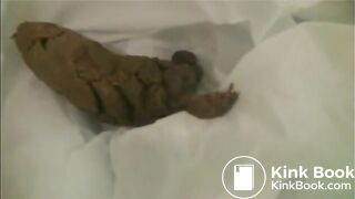 another fat turd