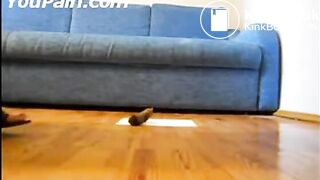 Woman Dropping A Big Turd