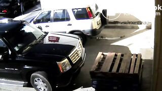 VS Public Poop Lady