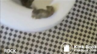 nice shitting