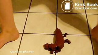 Teen Shitting in Toilet (Scat)
