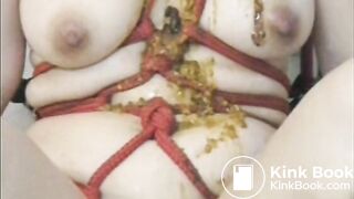 Shit Eating Aftermath