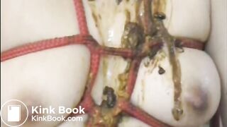 Shit Eating Aftermath