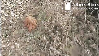 Shitting and pissing on a train track