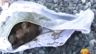 Pissing And Pooping In Her Panties