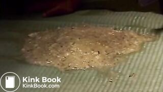 COM - Go Ahead She Isn_t Looking_ _ Scat and Puke