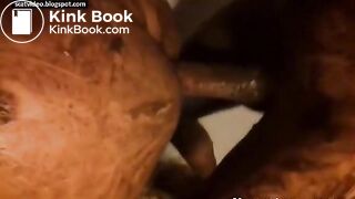 Extreme Messy Scat Sex